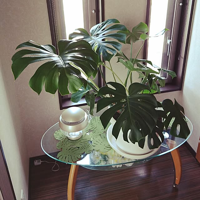 cocosorasakuさんの実例写真