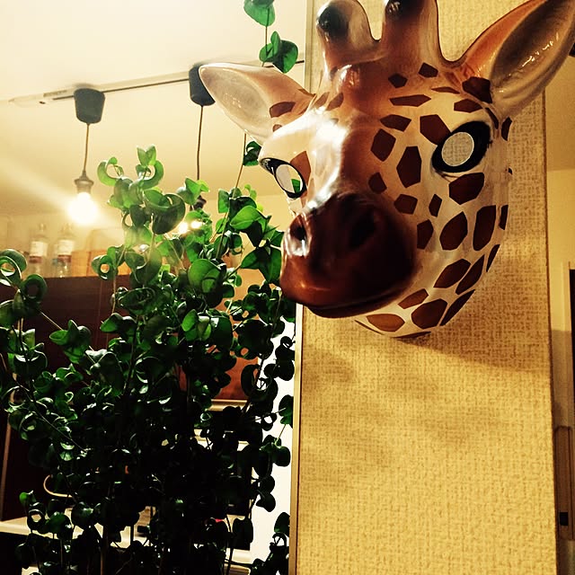 charmmyさんの実例写真