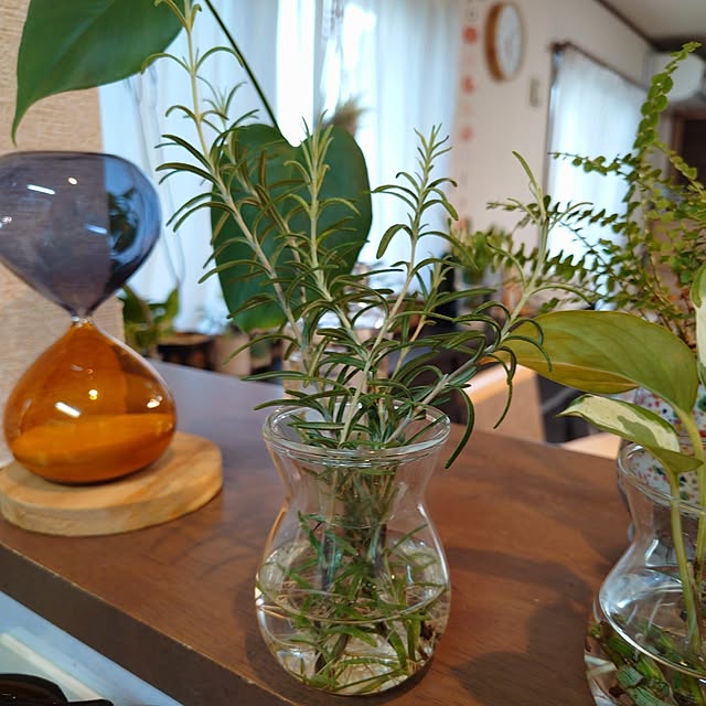 coconathuさんの部屋