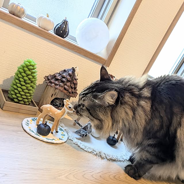 sayan_0321さんの部屋