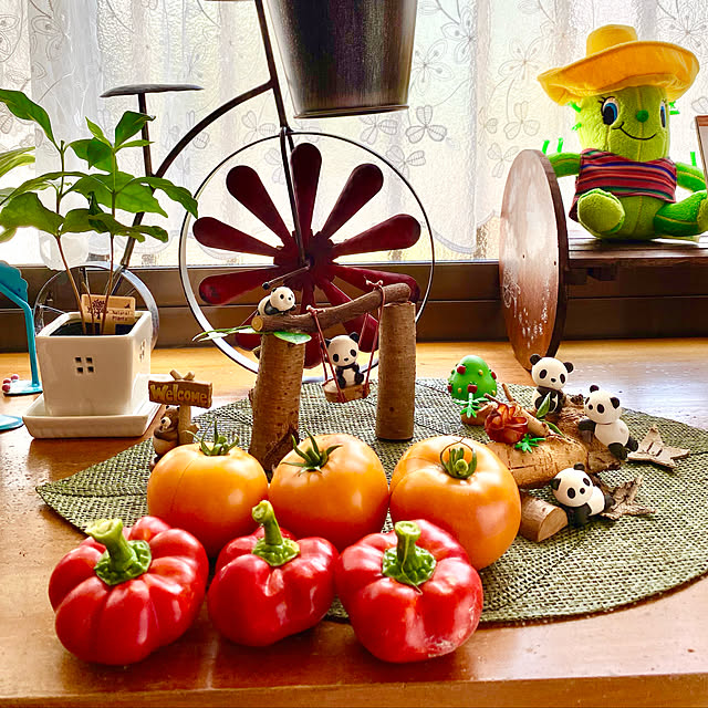 n_k6369さんの実例写真