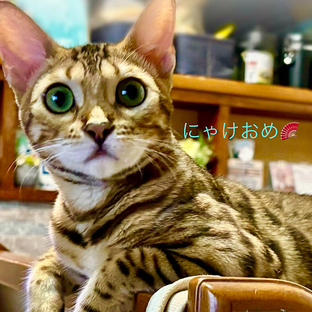 tututu0204さんの部屋