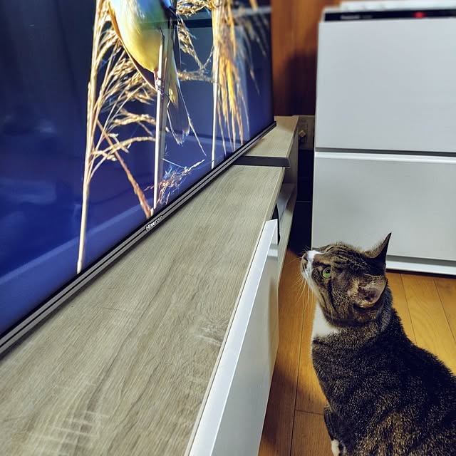 nachiさんの部屋