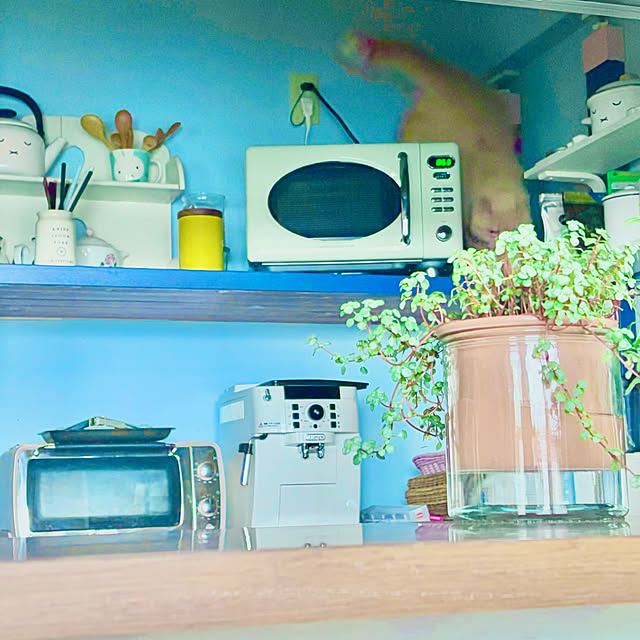 naokoさんの部屋