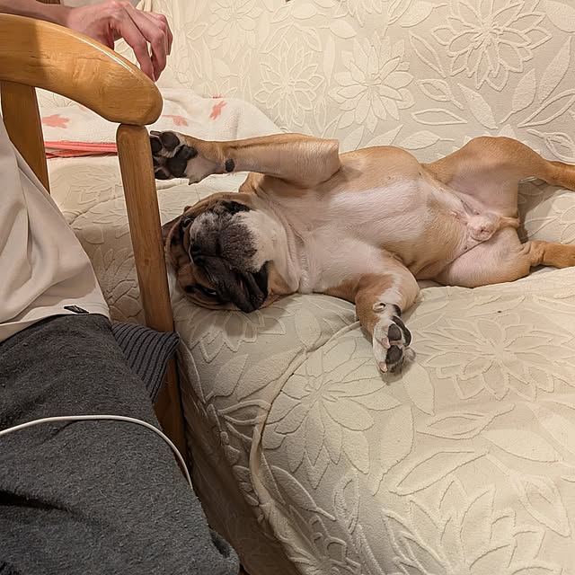 chi_gogaさんの部屋