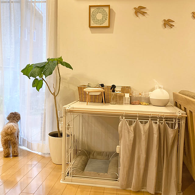 hayunoさんの部屋