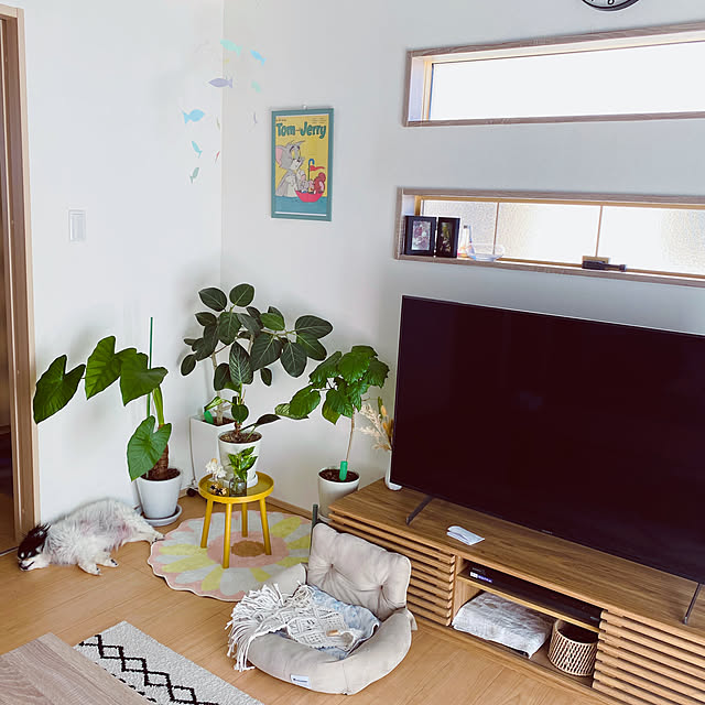 chan-homeさんの部屋