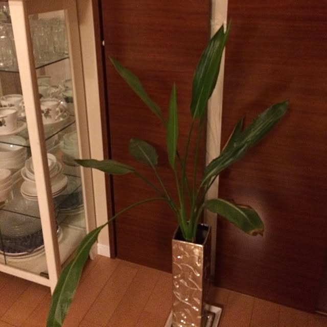 shichanさんの実例写真