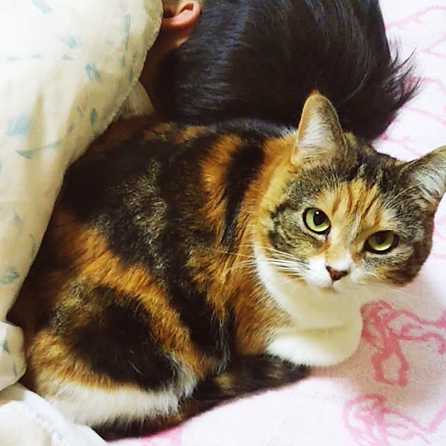 yukieさんの実例写真