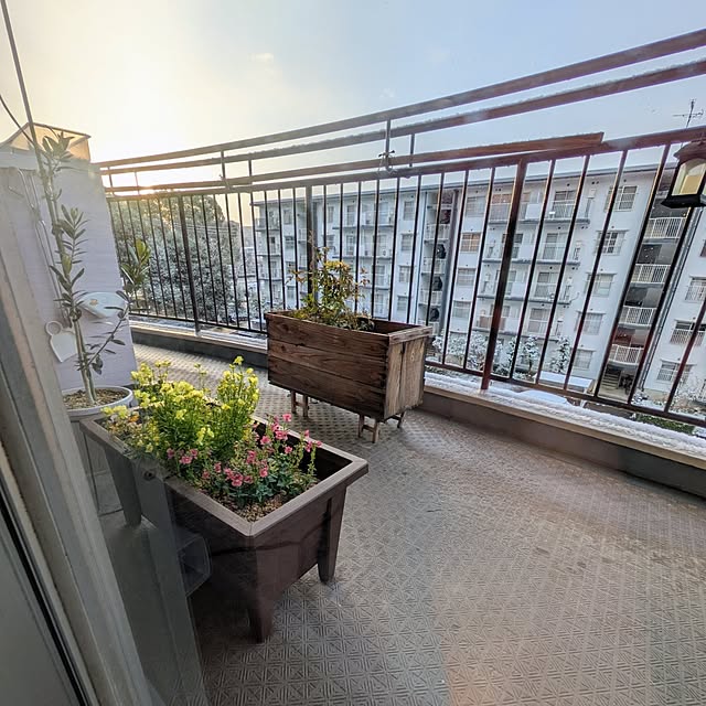 mi-saさんの実例写真