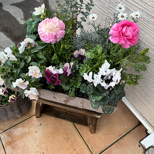 leepo5さんの実例写真