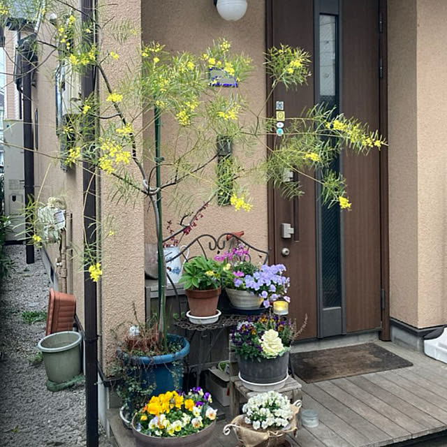 amiromikaさんの実例写真