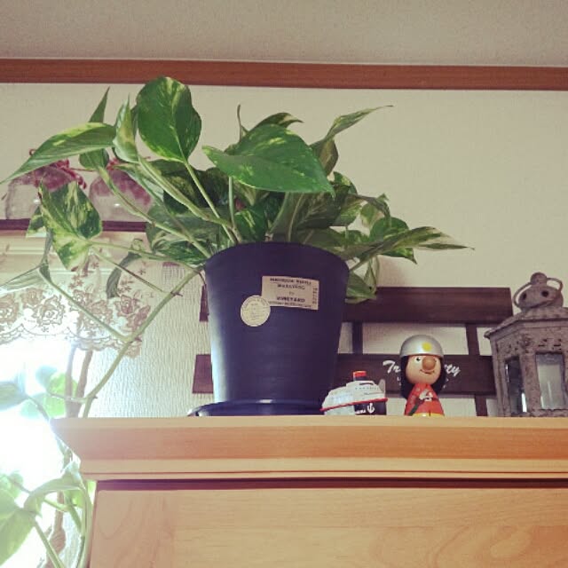 Melさんの実例写真