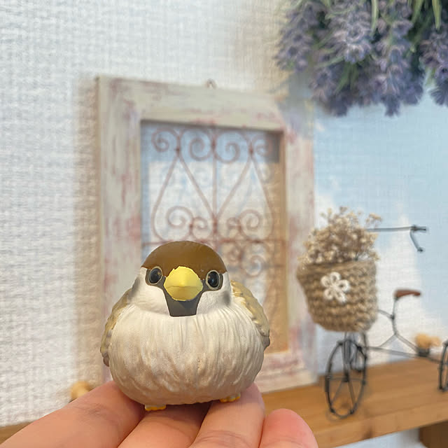 puni.punikoさんの実例写真