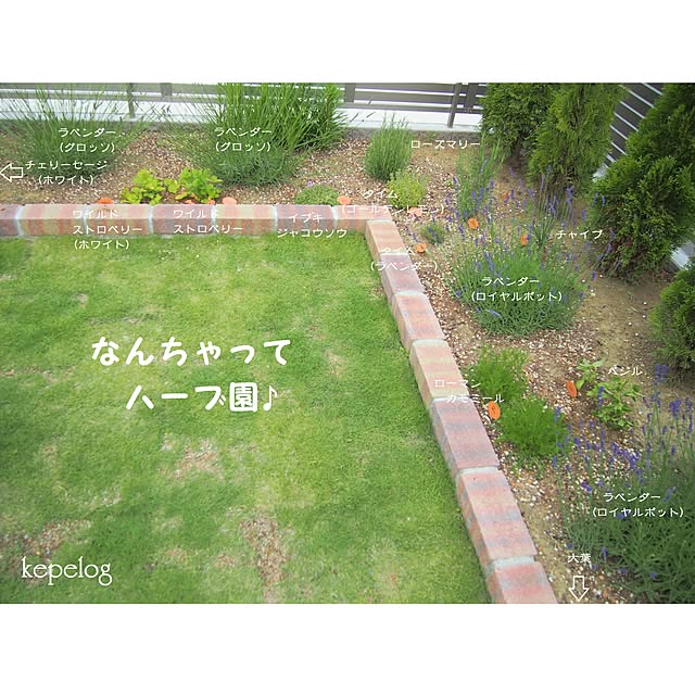 kepeさんの実例写真