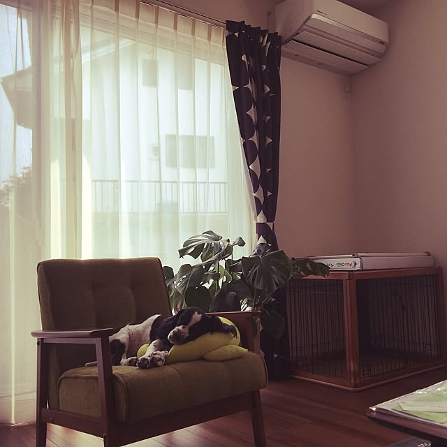 lunamamajunkoさんの実例写真