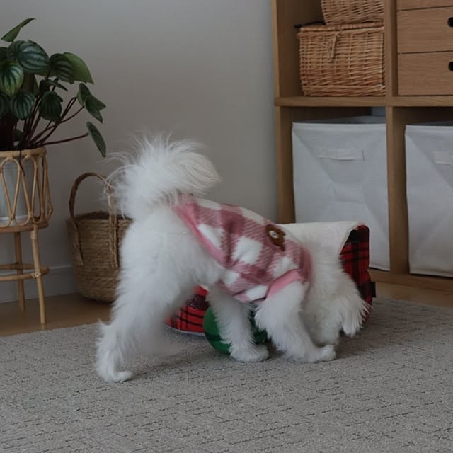 manaさんの部屋