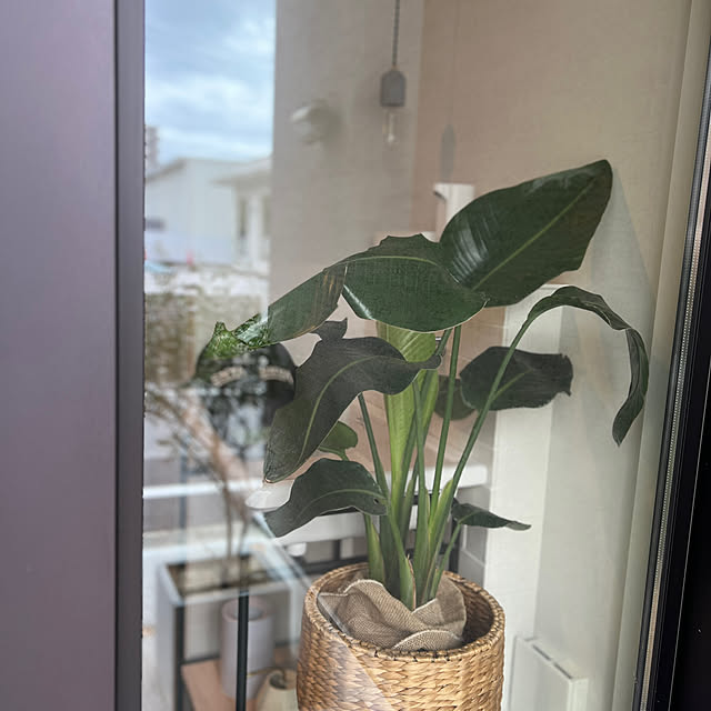 lrikaさんの部屋