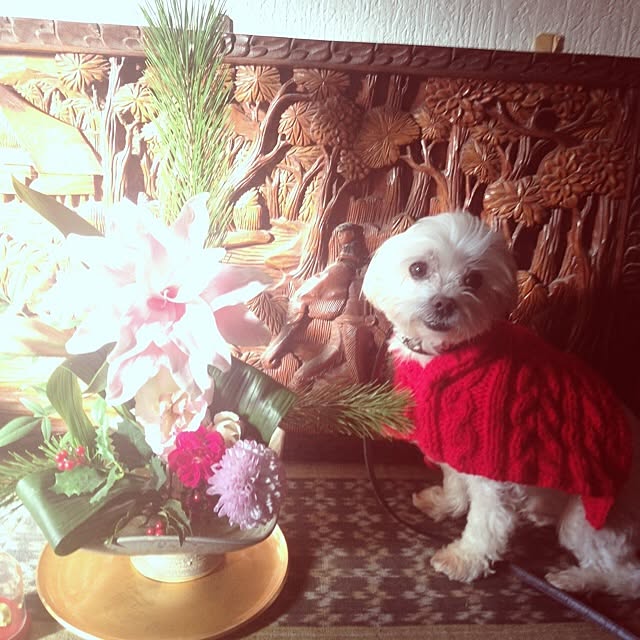 chiiico.yuko.さんの実例写真