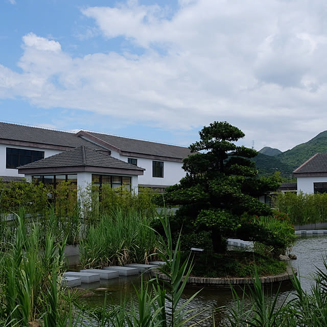 植物のある生活/部屋全体のインテリア実例 - 2019-08-09 10:10:39