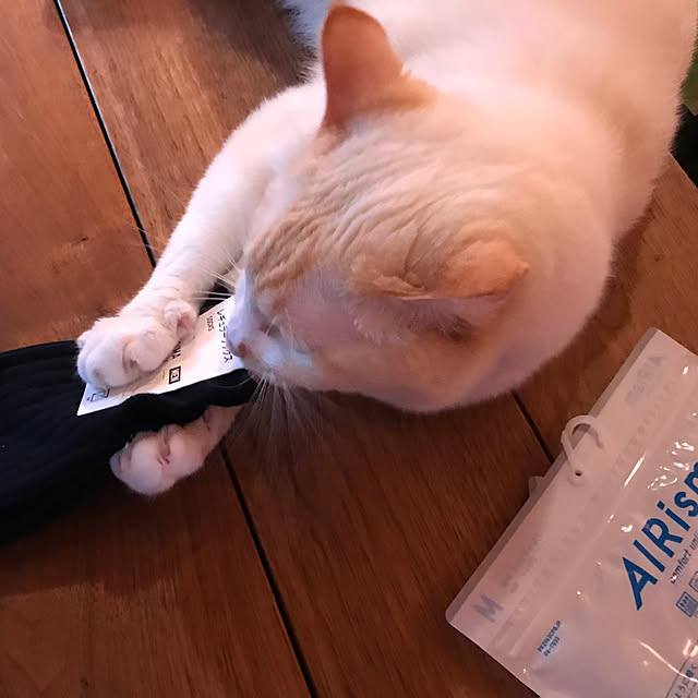 sakurasakuさんの実例写真