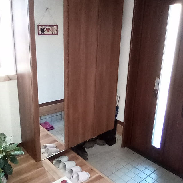 実例写真