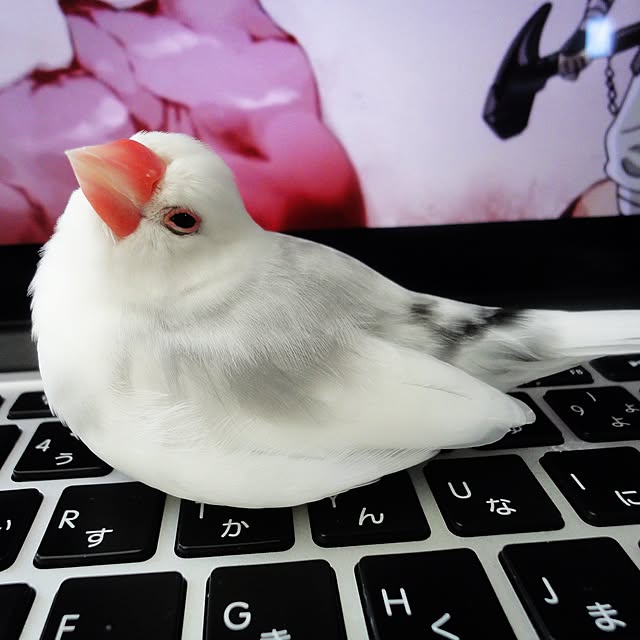 koHakuさんの実例写真