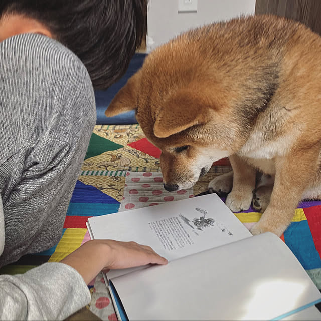 r_i_c_aさんの実例写真