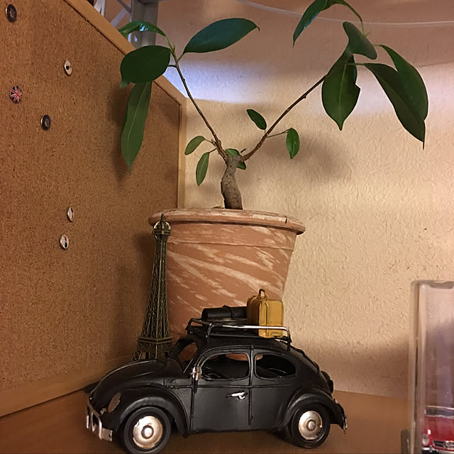 suzuka8natuさんの実例写真