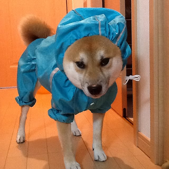 kotaさんの実例写真