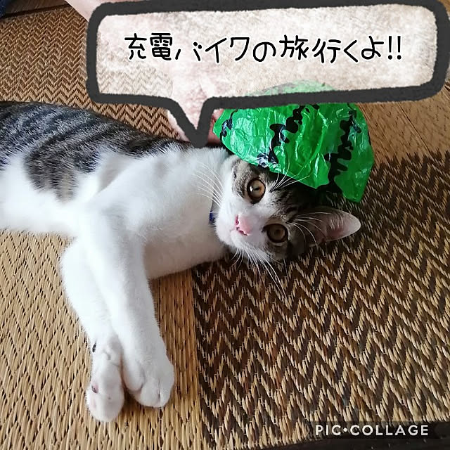teruminさんの実例写真