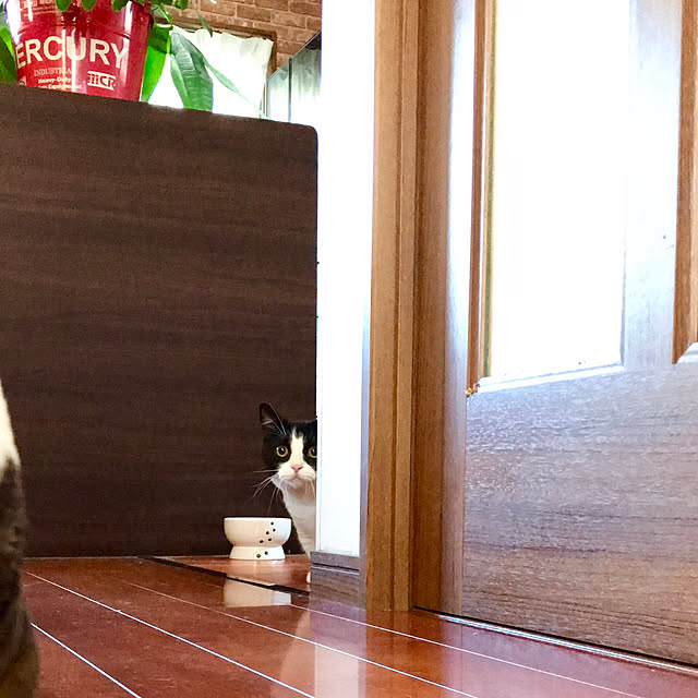 butachanさんの実例写真