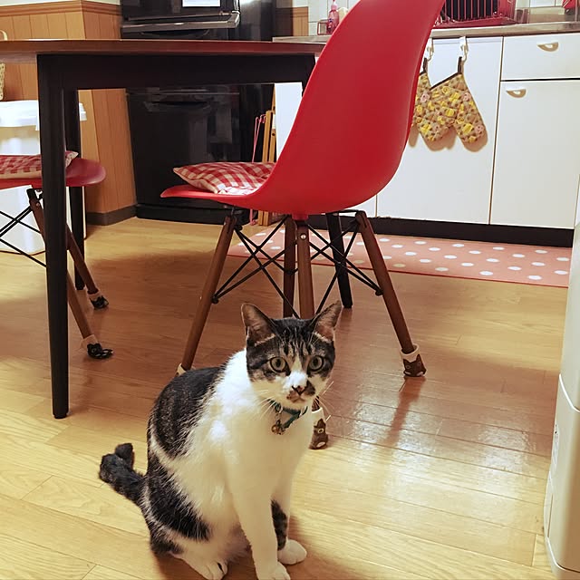 実例写真