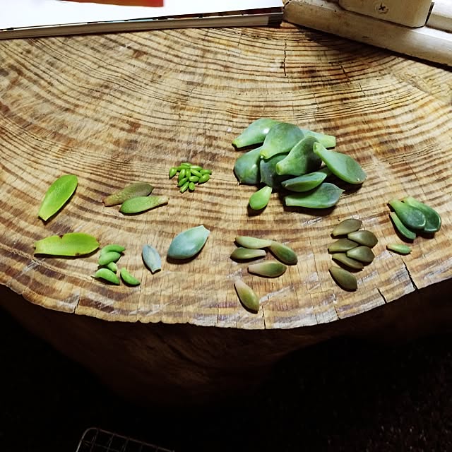 Minamiさんの実例写真