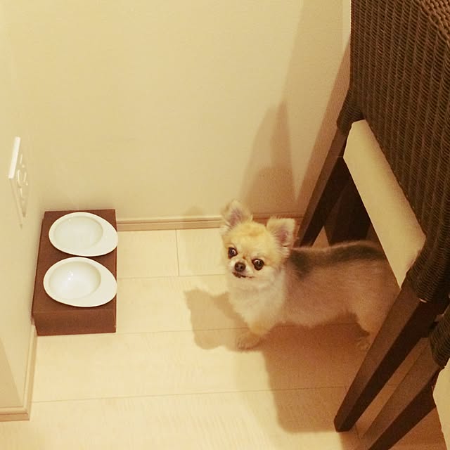 nanakoさんの実例写真