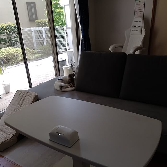 gonさんの実例写真