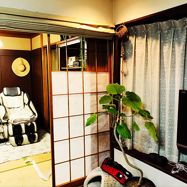 実例写真