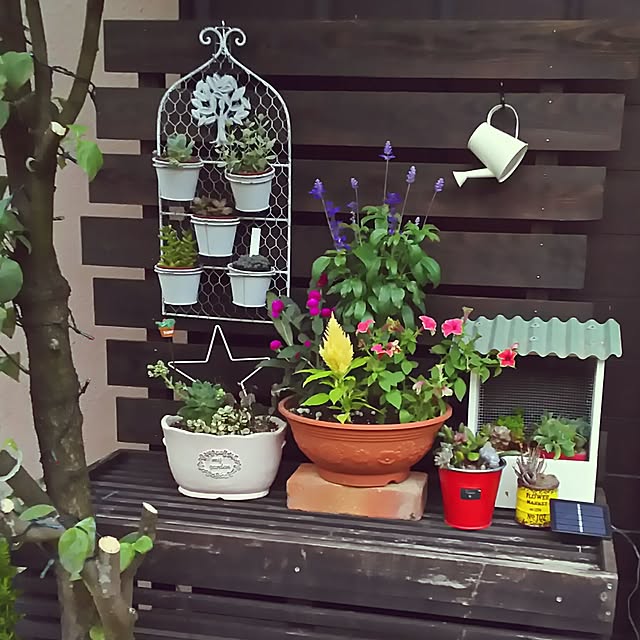Borikoさんの実例写真