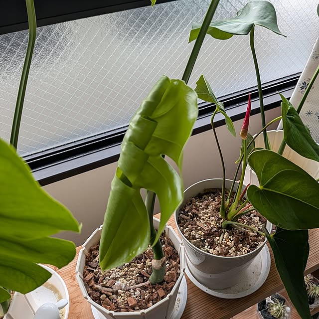 kolo92さんの部屋