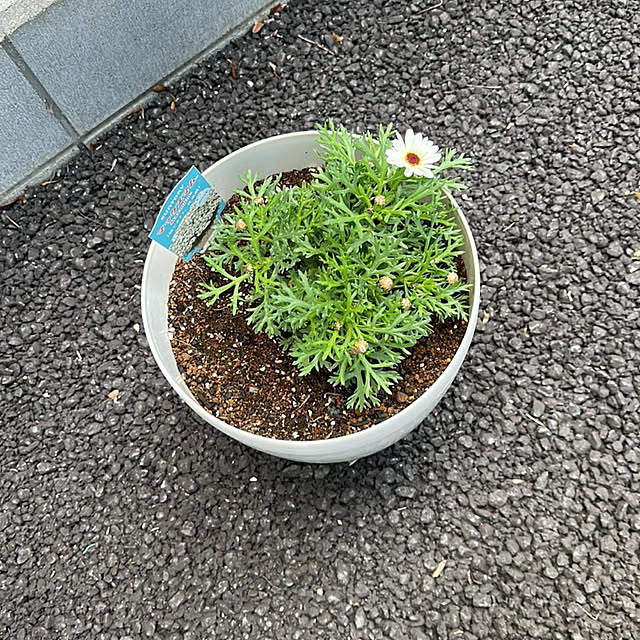Hさんの部屋