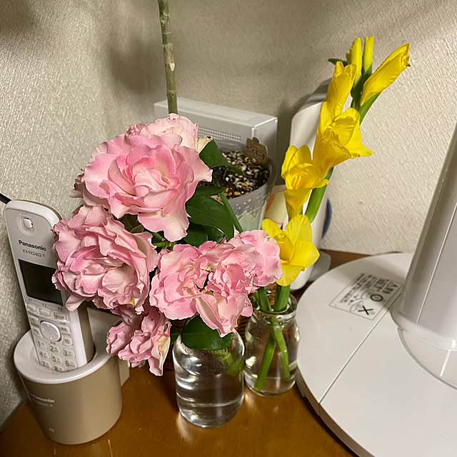 ronronさんの部屋