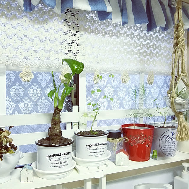 faunさんの実例写真