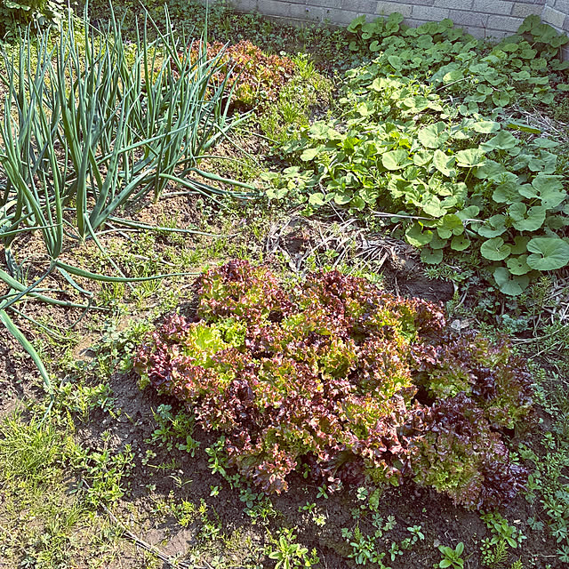 ayayayayaさんの部屋