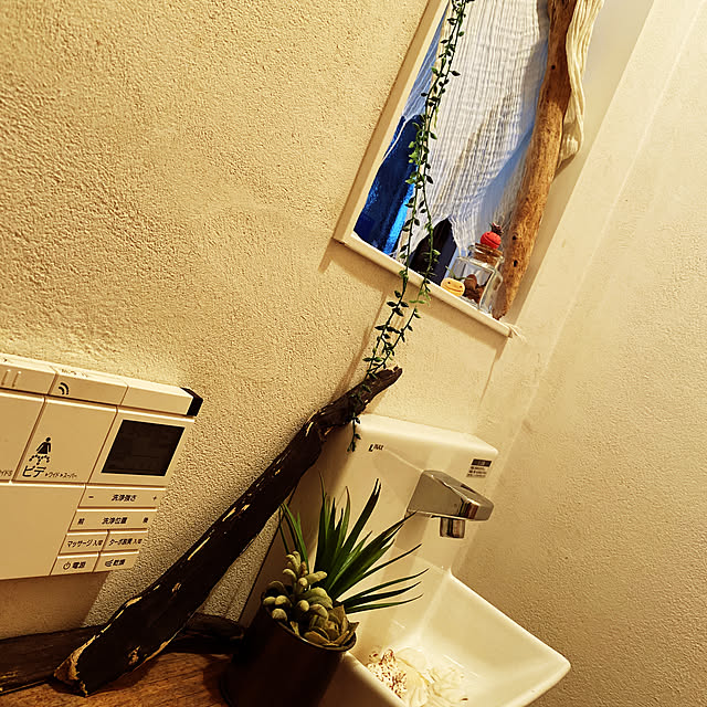 shokuchudokuさんの実例写真
