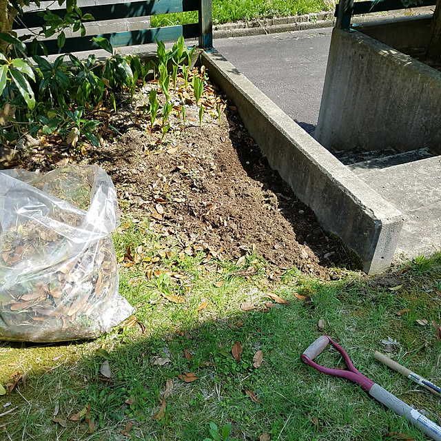 Kinanさんの実例写真