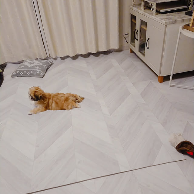 yukagomaさんの実例写真