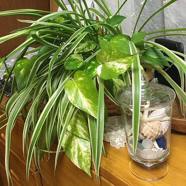 keiiiさんの実例写真