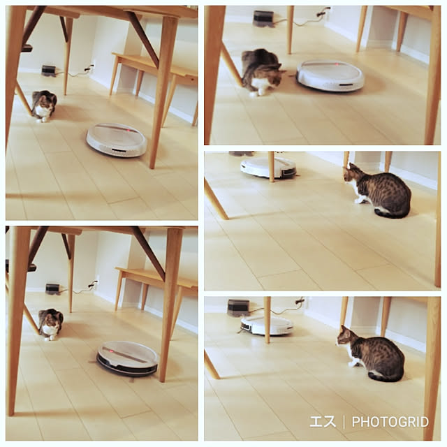 hanacocoさんの実例写真
