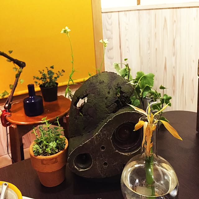 jasmin1223さんの実例写真
