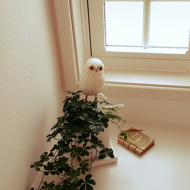 masax_xさんの実例写真